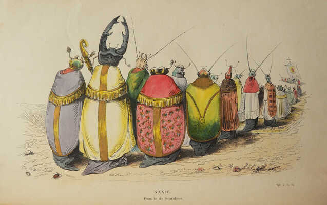 [Гранвиль Ж. Метаморфозы дня] Grandville. Les metamorphoses du jour par Grandville. Paris, 1854.